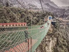 -梦幻奥陶纪景区