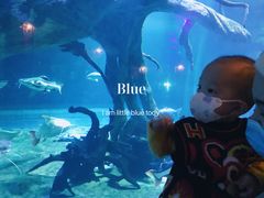 -华夏文旅海洋公园