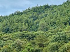 -广州白江湖森林公园