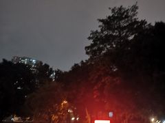 -荔湾湖公园