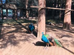 -南京金牛湖风景区