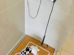 -艾贝尔宠物医院·24H转诊中心·肿瘤猫专科(江宁双龙店)