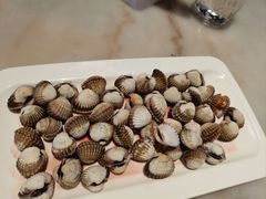 -华盛丰温州大排档(东三环南路店)