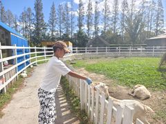 -前小桔亲子创意农场·草莓采摘·露营烧烤