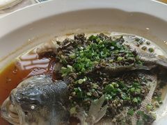 -大鸽饭(马王堆店)