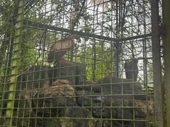 -海南热带野生动植物园