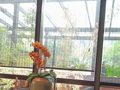 -九月里.自由花园餐厅