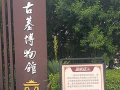 -洛阳古墓博物馆
