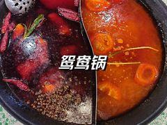 -鸿姐老火锅(疁城新天地店)
