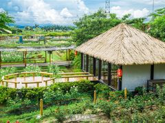 餐饮设施-盈香心动乐园