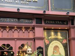 -布兰兔的植物庄园(杭州南宋御街店)
