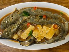 海鲶鱼炖豆腐-必点海鲜·鲅鱼水饺(鞍山西道店)
