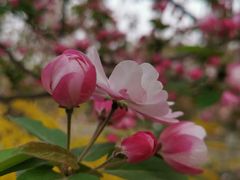 -元大都城垣遗址公园