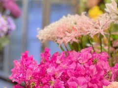 -双季花艺园艺市场(浦东店)