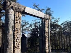 -龙苍沟森林公园
