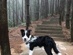 -罗田薄刀峰风景区