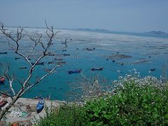 -枸杞岛