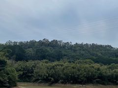 -滴水岩森林公园
