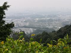 -火炉山森林公园