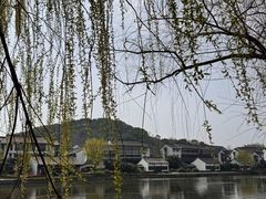 -鲁镇
