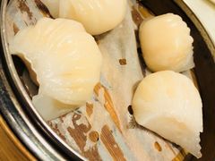 虾饺-鸿星海鲜酒家(格兰中心店)