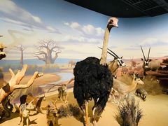 -陕西自然博物馆