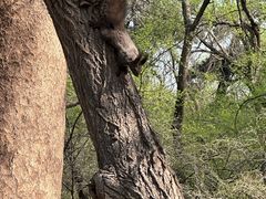 -北陵公园