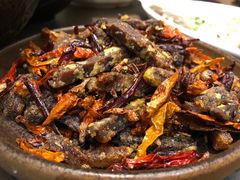 -boundaries籬苑(瑞光创意工厂-贰号院店)