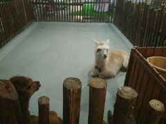 android_upload_pic-开元商城(西旺店)