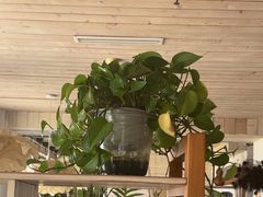 -水边(郯城店)