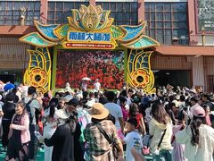 -西双版纳原始森林公园