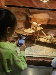 -Zoolung Zoolung动物主题公园(海信广场店)