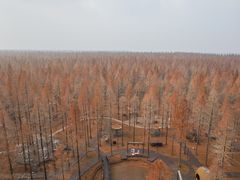 -黄海国家森林公园