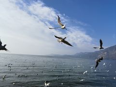 -滇池海埂公园