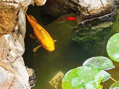 -二哥米线 丽江店