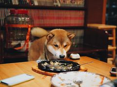 -胜代日本料理(云程巷小区店)