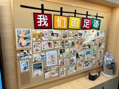 -派联宠物医院·24h·CT·异宠