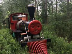 -合肥滨湖国家森林公园