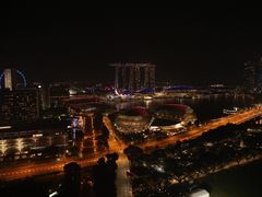 -新加坡瑞士史丹福酒店