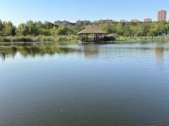 -前关湿地公园