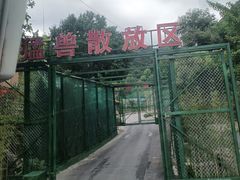 -栾川竹海野生动物园