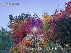 -北京西山国家森林公园