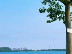 -露天矿生态公园