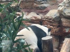 -石家庄市动物园