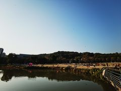 -牛岗山公园