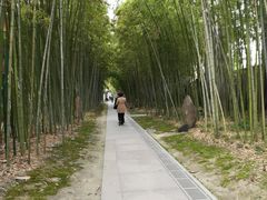 -上海市龙华烈士陵园