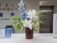 -上海市东方医院(总院)