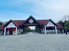 -上海海湾国家森林公园