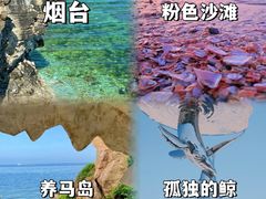 -养马岛旅游度假区