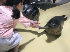 -嘉兴海底世界